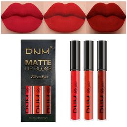 DNM 3 stks/set Lip Glazuur Fluwelen Matte Lippenstift Waterdicht Duurzaam Blijvende Hoge Kleurweergave Lip Glazuur Lange Slijtage Lipgloss Kit