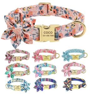 ACCESSOIRES DIG COLLAR CUST CUSTANT PIPPY CAT COL SORP