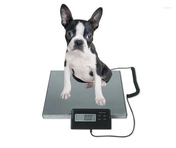 Vêtements pour chiens 0.1-300kg 660lb Balance postale Balance électronique Poids Plate-forme numérique LCD Alimentation CA