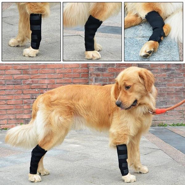 Vêtements pour chiens 1 paire de bretelles de jambe soutient le soutien de la cheville Canine poignet avant carpien prévenir les blessures S/pour M/L/XL