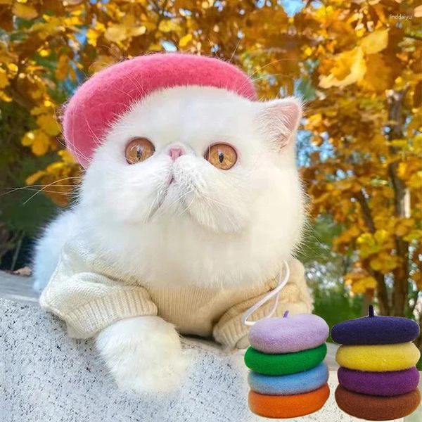 Ropa para perros 1 pc bo que gat de boina colorida lana mini decoración de gatos de pografía de gato suministros 2024 moda