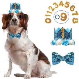 Appareils pour chiens 1 set Bib Headgear Neckerchief Excellent chapeau de compagnie tout apparié Écharpe joyeux anniversaire Fourniture de fournitures décor