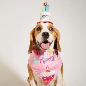 Vêtements pour chiens 1 ensemble d'anniversaire facile