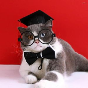 Vêtements de chien 1 ensemble de costume de graduation de chat chapeau adorable lunettes de collier de chiens de chats de compagnie