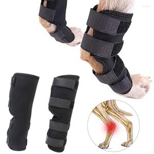 Hondenkleding 1 Set Pet Bandages Leg Knee Brace Braps Bescherming voor honden Joint Bandage Wrap Doggy Supplies Accessoires