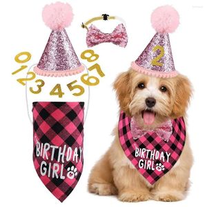 Appareils pour chiens 1 set Pet d'anniversaire paillettes chapeau réglable décoratif de chat décoratif chat noix de nœud