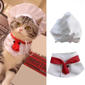 Hondenkleding 1 Set Pretty Pet Headwar Lovely Dogs Hat Soft Chef Style Dress Up