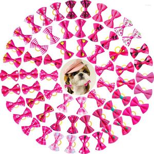 Vêtements de chien 10/20pcs rose toilettage arcs de cheveux chat mélange 20 couleurs petites bandes de caoutchouc pour fournisseur