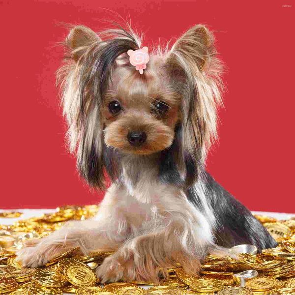 Vêtements de chien 10 pcs décoration d'anniversaire pour fille animal de compagnie bande de caoutchouc bande de cheveux bandeau coiffure cravate