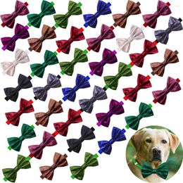 Abbigliamento per cani 10 pezzi Papillon Forniture fatte a mano Fiocchi Collare Solido Papillon grandi Accessori per animali domestici Decorare per cani Prodotto