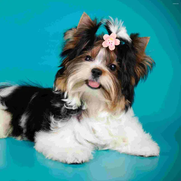 Ropa para perros 10 pcs decorar decoraciones de goma de goma de mascotas bandas de cabello para cachorros accesorios de nylon niña