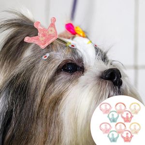 Vêtements de chien 10 pcs Pet Head Flower Supplies Hair Corde pour chiens Bandle de caoutchouc Small Size Crown Elastic Bands Puppy
