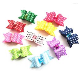 Hondenkleding 100 pc/lot Polka Dots Hair Bows Ribbon Cat Dogs verzorgen rubberen bands Pet Accessoires