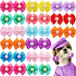 Vêtements de chien 100pcs en vrac accessoires de cheveux pour animaux de compagnie arcs avec bande de caoutchouc de dentelle Diomand toilettage pour petits chiens fournitures de chiot 230915