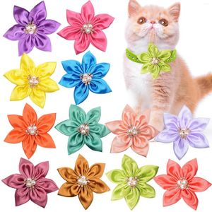Hondenkleding 100 stks bloemballen schuifbare strikbladen Rhinestone kleine kat kraag charmes verzorging accessoires