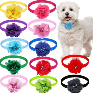 Appareils pour chiens 100pcs Pet Bowtie Small Cat Col à noeudrique Collier Spring Supplies Tooming Accessoires Bowties pour chiens