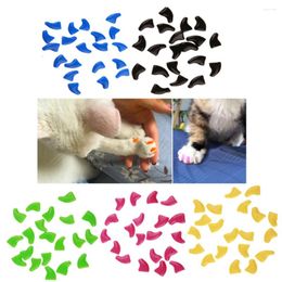 Appareils pour chiens 100pcs Capes d'ongle pour animaux de compagnie Beau Protecteur de contrôle de la griffe pour chat et taille S (couleur assortie)