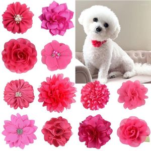 Hondenkleding 10 stks schattige booge puppy bloemen boogschieterijen huisdier kat glidable kraag verzorging kostuum accessoires decoraties