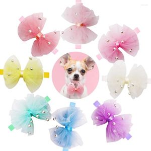 Appareils pour chiens 10pc