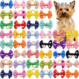 Vêtements pour chiens 10 pièces couvre-chef pour animaux de compagnie anneau de cheveux coloré pointillé chat côtelé mignon ornement nœud papillon bande de cuir