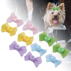 Appareils pour chiens 10pcs Shinning Pet Puppy Hair Bows Rope Cat Band Headwear Grooming Accessoires mignons