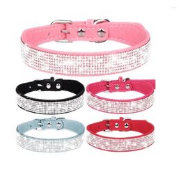 Vêtements pour chiens (152 pièces/lot) pour animaux de compagnie, chat, chiot, Chihuahua, colliers, cravates, fournitures de toilettage, CH91601