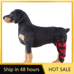 Vêtements pour chiens 1Pc genouillères pour animaux de compagnie soutien orthèse pour jambe jarret articulation enveloppement respirant blessure récupérer jambes protecteur toilettage