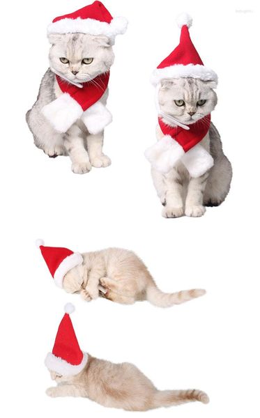 Vêtements pour chiens 1 pièces chapeau de noël pour animaux de compagnie père noël petit chiot chat Costume de vacances pour chiens chats fête de l'année