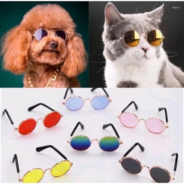 Vêtements de chien 1pcs lunettes de chat de compagnie produit pour petit jouet lunettes de soleil lunettes de soleil pos accessoires accessoires vintage