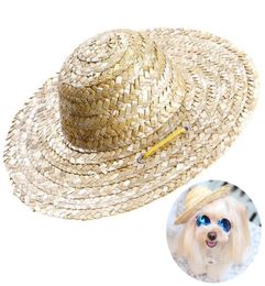 Appareils pour chiens 1pcs TRENDY PET HAT CAT CHOT COOL POULA-SOR SORN CHAPPOS PUPPYS ACCESSOIRES HAWAII ACCESSOIRES CATS CATS CAPS COUNTRAGE4028632