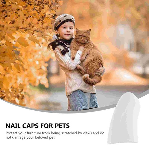 Appareils pour chiens 2 packs / 40pcs Pet Nail Set Glue Covers Durable Cat Cat Case de protection anti-rayures TPR TPR