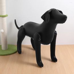 Ropa para perros 2 piezas Ropa inflable para mascotas Modelo Ropa PVC Modelos de pie para exhibición