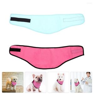 Vêtements de chien 2 pcs écharpe cool écharpe de refroidissement serviette de cou d'été bandana collier de chiot léger pour