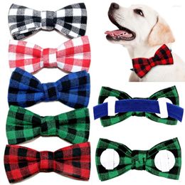 Appareils pour chiens 20 / 50ps Bowtie Dogs Accessoires