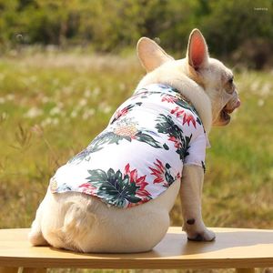 Chien vêtements 2023 mode cadeau pour animal de compagnie vêtements d'été Cool plage Style hawaïen chat chemise à manches courtes cocotier impression tissu