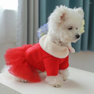 Appareils pour chiens 2023 Pet Warm Robe Chinese Année National Style Up Vêtements Costumes Accessoires pour chiens chats