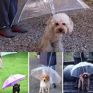 Hondenkleding 2023 Wandeling waterdichte heldere deksel ingebouwde riem door regen sneeuwvet paraplu regenjassen voor producten accessoires