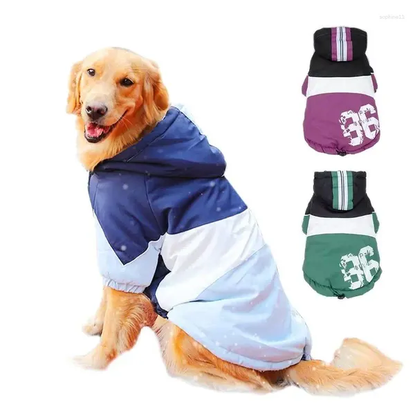 Ropa para perros 2024 Ropa grande Abrigo grande Púrpura Cálido Algodón acolchado Dos pies Espesar Chaqueta con capucha