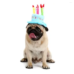 Hondenkleding 2024 Verjaardagsaccessoires Pet Hat Cake Persoonlijkheidsaanbod
