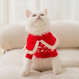 Vêtements de chien 2024 mignon automne chaton pull pour prévenir la perte de cheveux marionnette britannique court bleu chat animal de compagnie et vêtements d'hiver