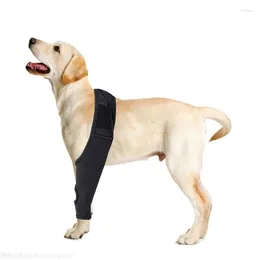Vêtements pour chiens 2024 améliore la manche de jambe d'aide à la récupération pour les chiens offrant des protections contre les plaies et un ajustement confortable pour les grands animaux de compagnie pendant