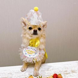 Hondenkleding 2024 Ins Sweet Party Birthday Hat Bib Cat Pet Speeksel Pocket handdoek Kleine huisdieren Leuke hoeden voor katten