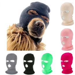 Hondenkleding 2024 Outdoor Reizen Winddicht Masker Cap-kostuums voor grote honden Skimutsen Helmaccessoires voor huisdieren