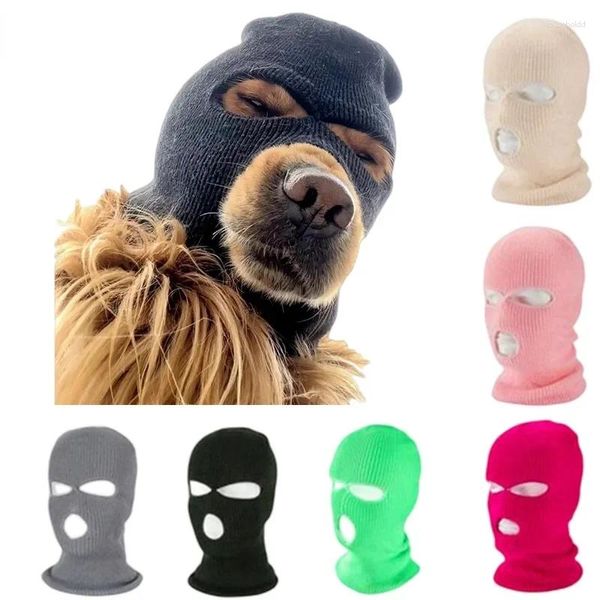Vêtements pour chiens 2024 Voyage en plein air Coupe-vent Masque Cap Costumes pour grands chiens Chapeaux de ski Accessoires de casque pour animaux de compagnie