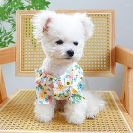 Vêtements pour chiens 2024 vêtements pour animaux de compagnie vêtements de chat arc princesse plire collier en dentelle haute taille de petits produits floraux printemps et automne