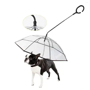 Hondenkleding 2024 Pet Umbrella riem regenbestendig sneeuwvoornis voor kleine honden verstelbare doggy
