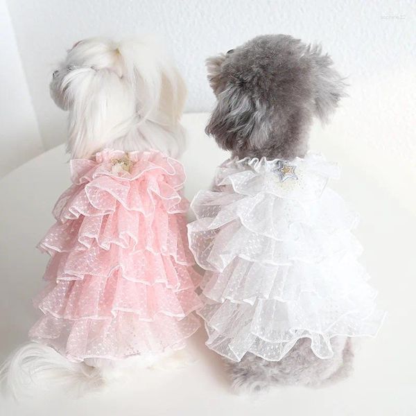 Vêtements de chien 2024 Star Robe de mariée Sweet Pet Cat Robes pour chiens Big Vêtements Accessoires