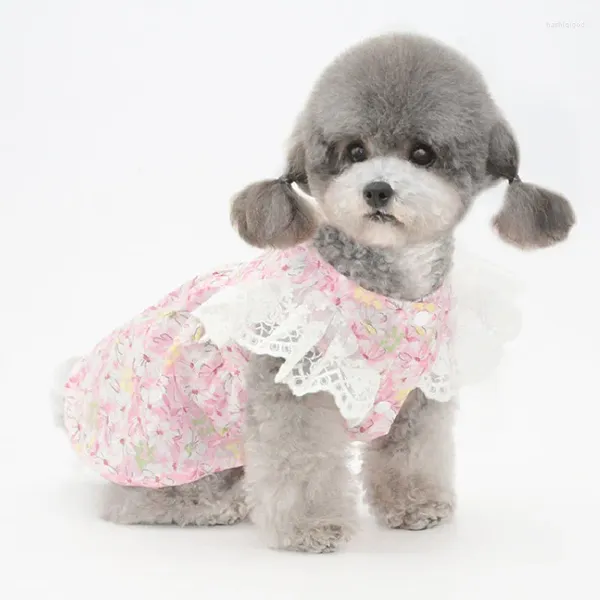 Vêtements pour chiens 2024 Robe d'été Petits vêtements Jupe mignonne Fille Vêtements Chiot Bichon Robes Caniche Yorkie Costume de Poméranie