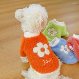 Hondenkleding 2024 Winterkleding Hoodies Cat Puppy Poodle Dachshund Bichon Schnauzer Pomeranische kleding Outfit Kledingshirt