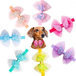 Hondenkleding 20 stks kanten Pet Bowties pailletten Angel Wing Fashion Bulk Bow Tie kraag voor kleine kat bowknot verzorging accessoires